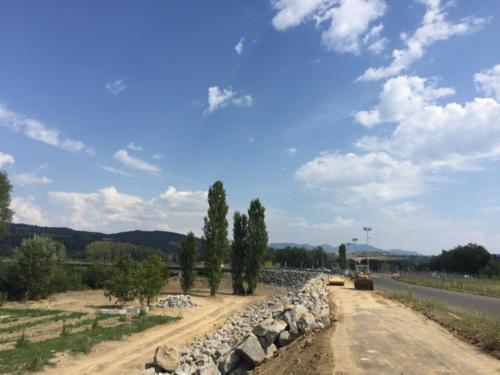 consorzio bonifica fiume Paglia (12)