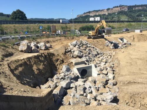 consorzio bonifica fiume Paglia (23)