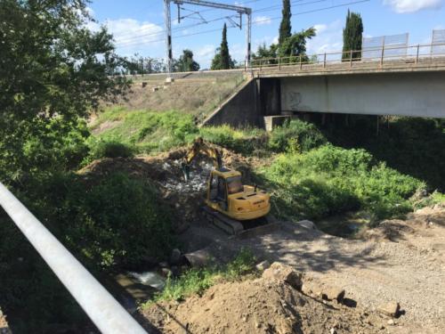 consorzio bonifica fiume Paglia (35)